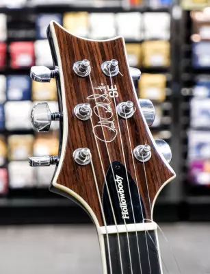 PRS Guitars - SE Hollowbody Standard Piezo Electric Guitar with Case - Dog Hair Smokeburst 2